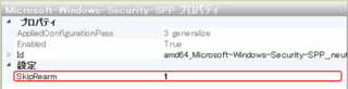 wsim_prop_securityppp.png